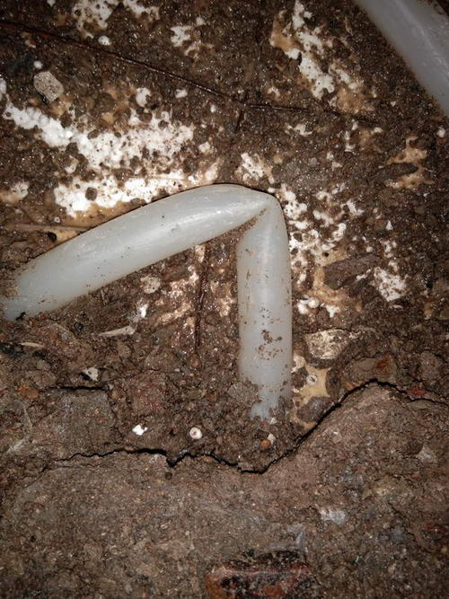 金秀堵点精准查找